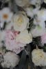 blush flower wedding archblush flower arch fermanagh n.ireland