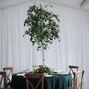 fiscus tree table centre